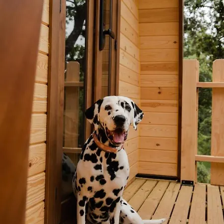 Chalet Cork Valley - Pet Friendly & Only Adults